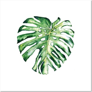 Monstera leaf Posters and Art